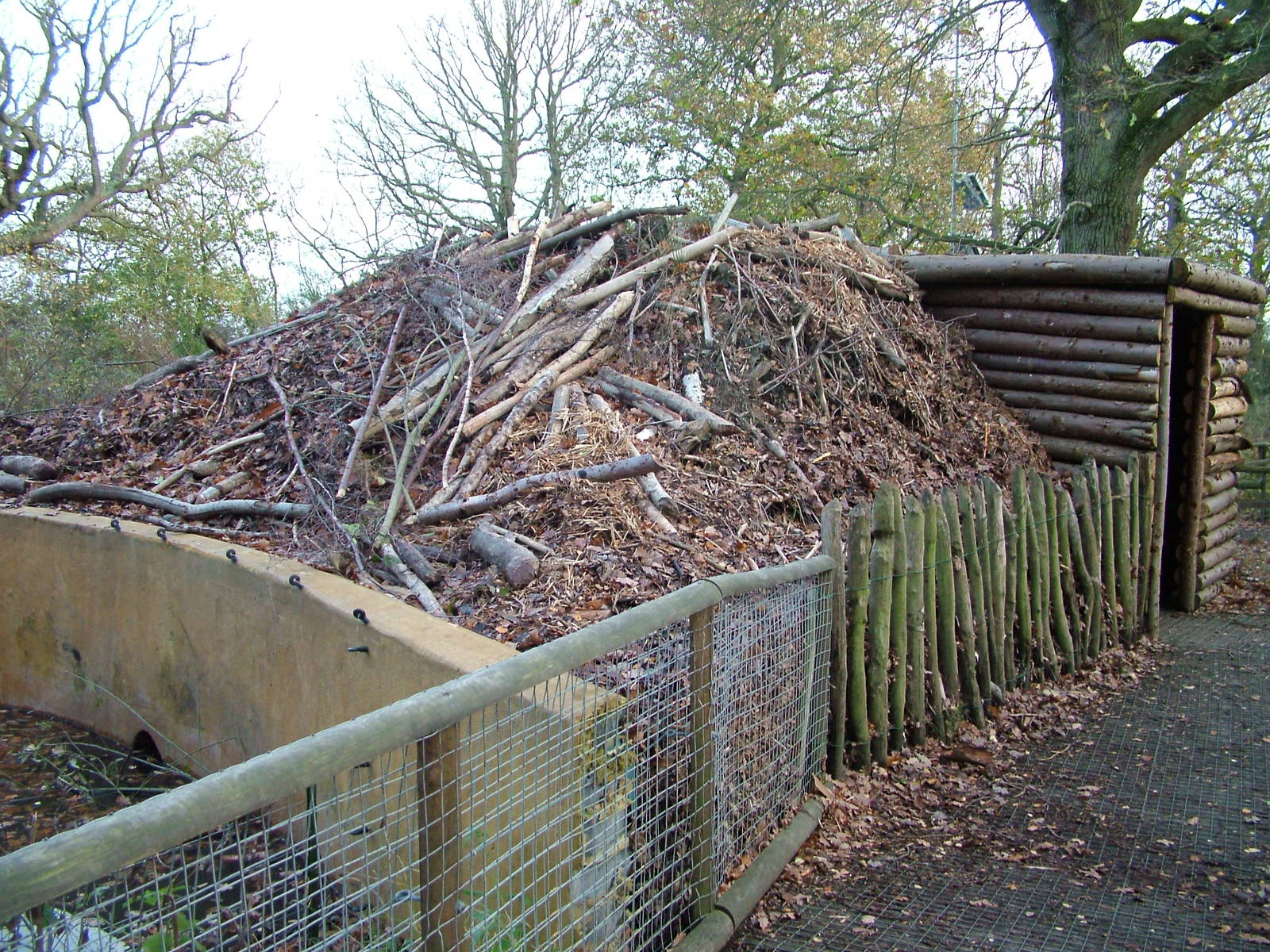 European Beaver housing at Wildwood 28/11/09