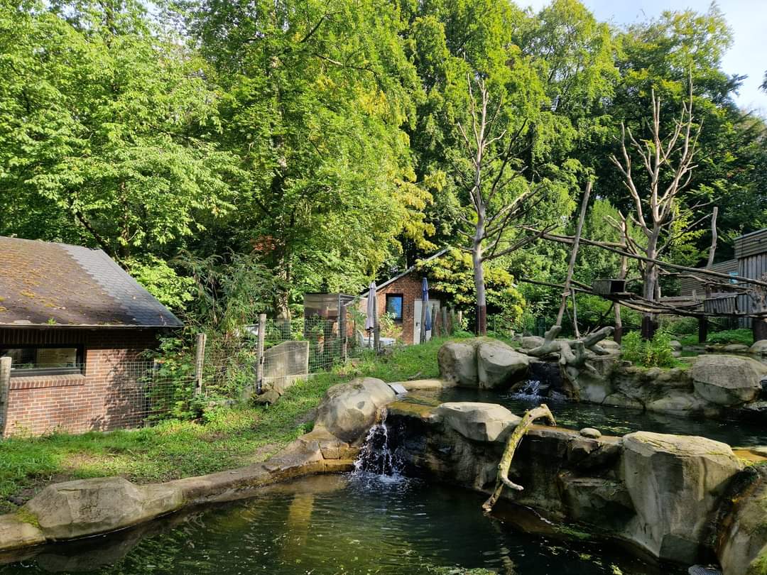 European Beaver/North American porcupine exhibit