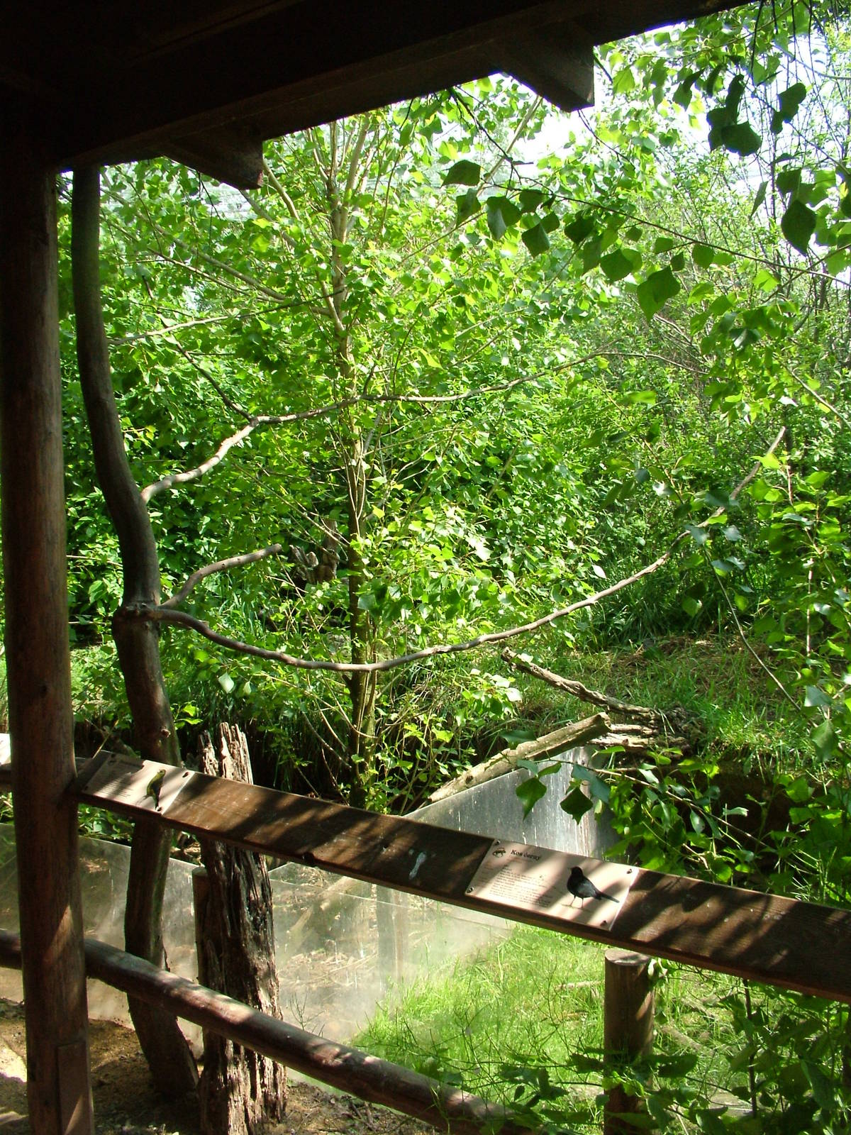 European bird aviary at Prague, 24/05/10