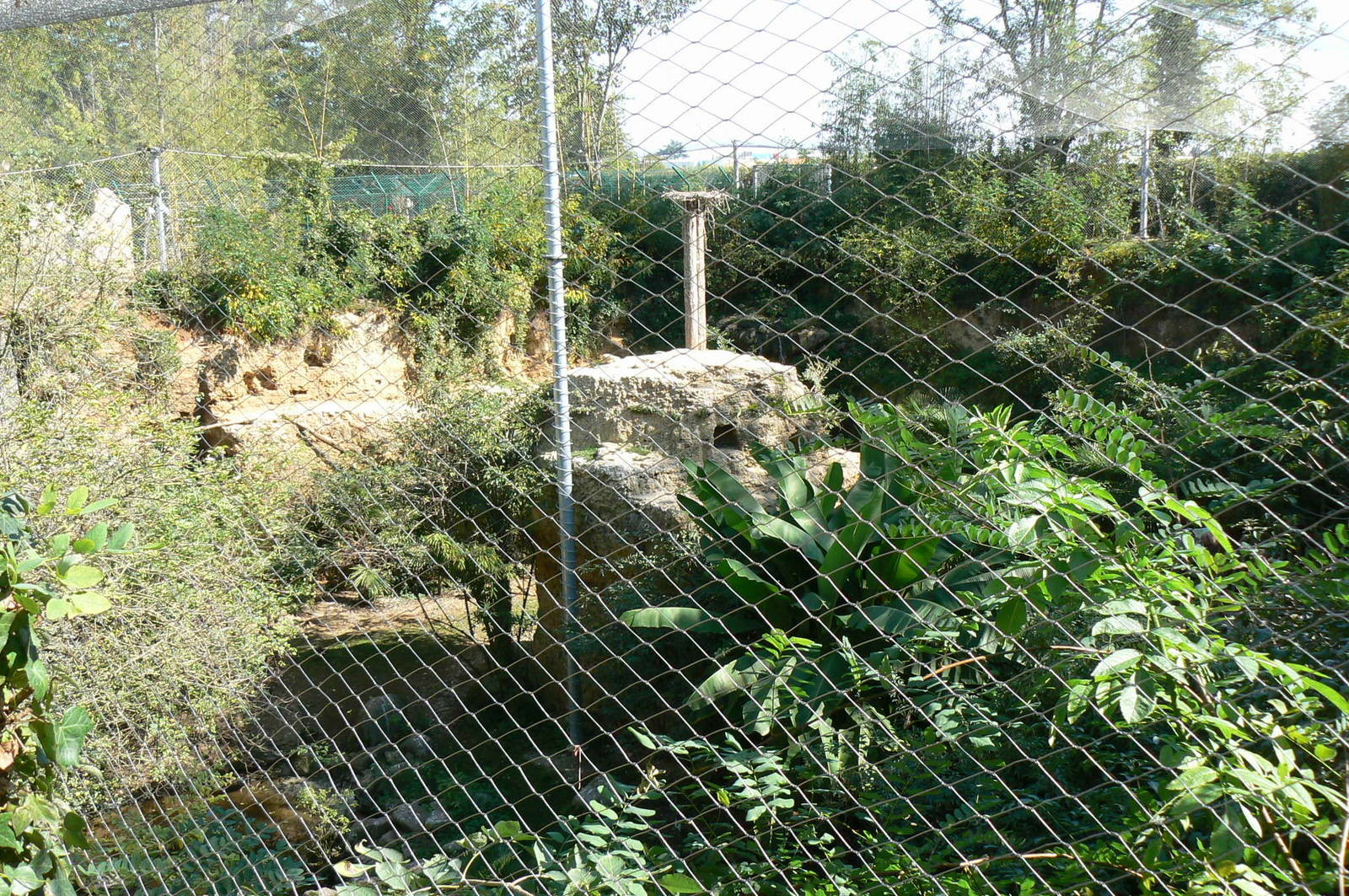European birds aviary (view from the top)