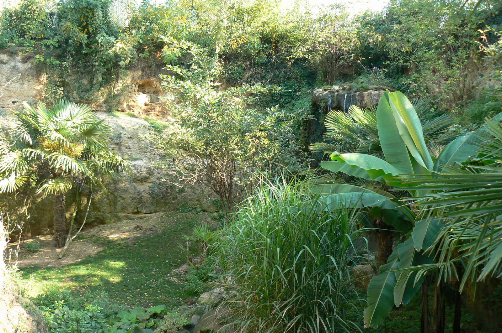 European birds aviary