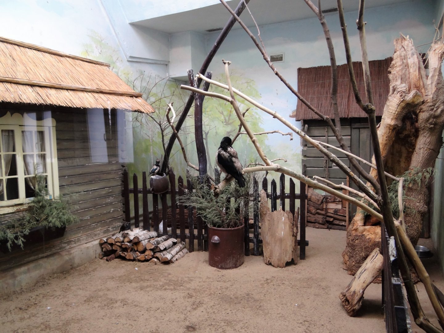 European birds aviary