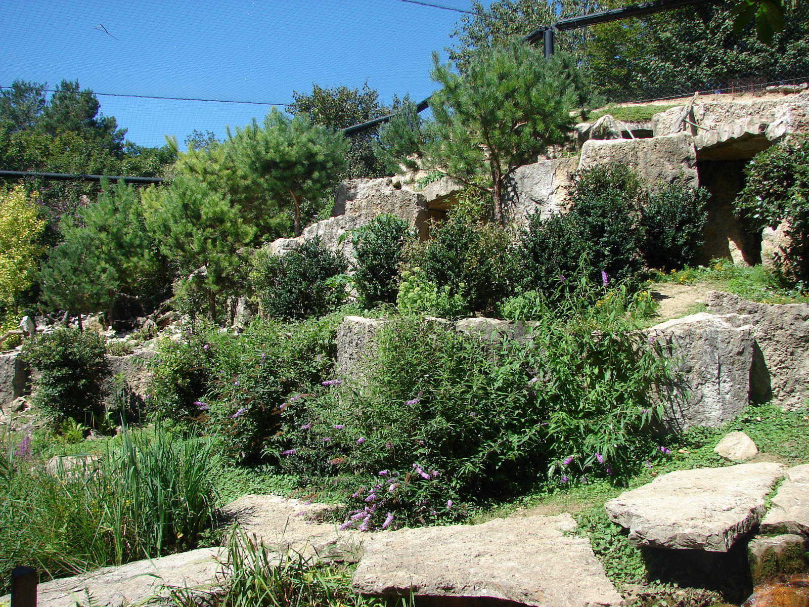 European birds of prey walkthrough aviary
