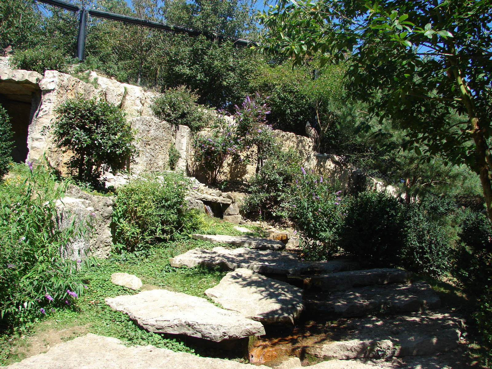 European birds of prey walkthrough aviary