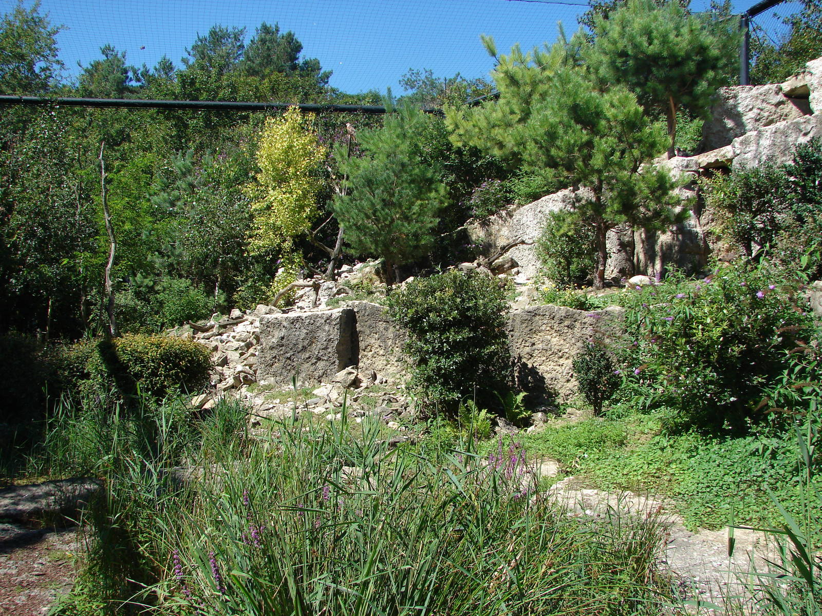 European birds of prey walkthrough aviary