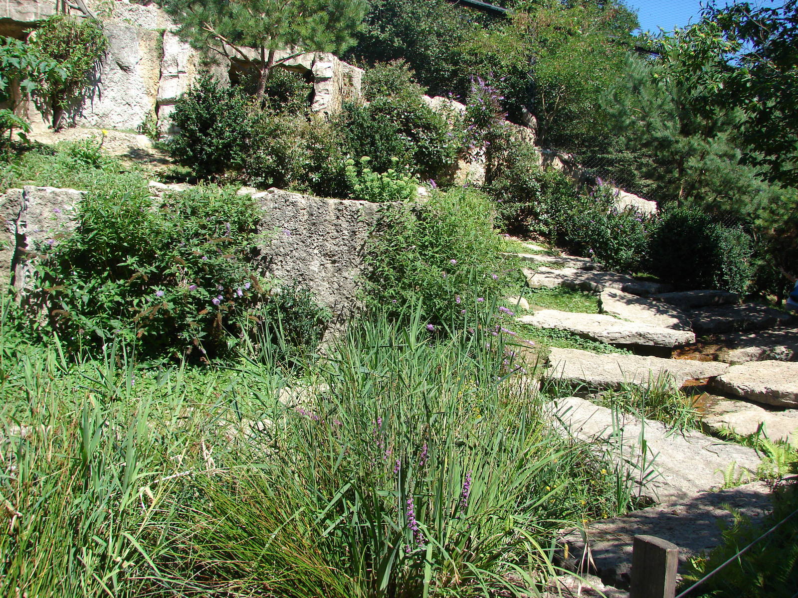 European birds of prey walkthrough aviary