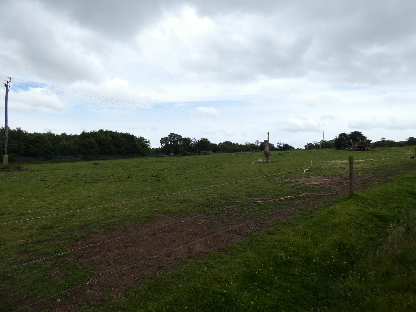 European bison and lechwe enclosure