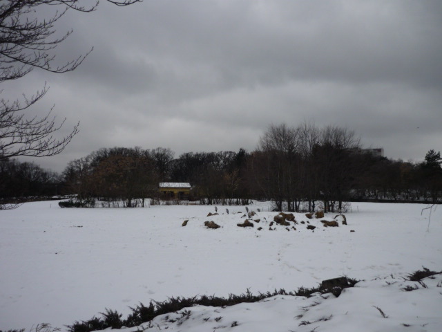 European Bison and Wild Boar Exhibit