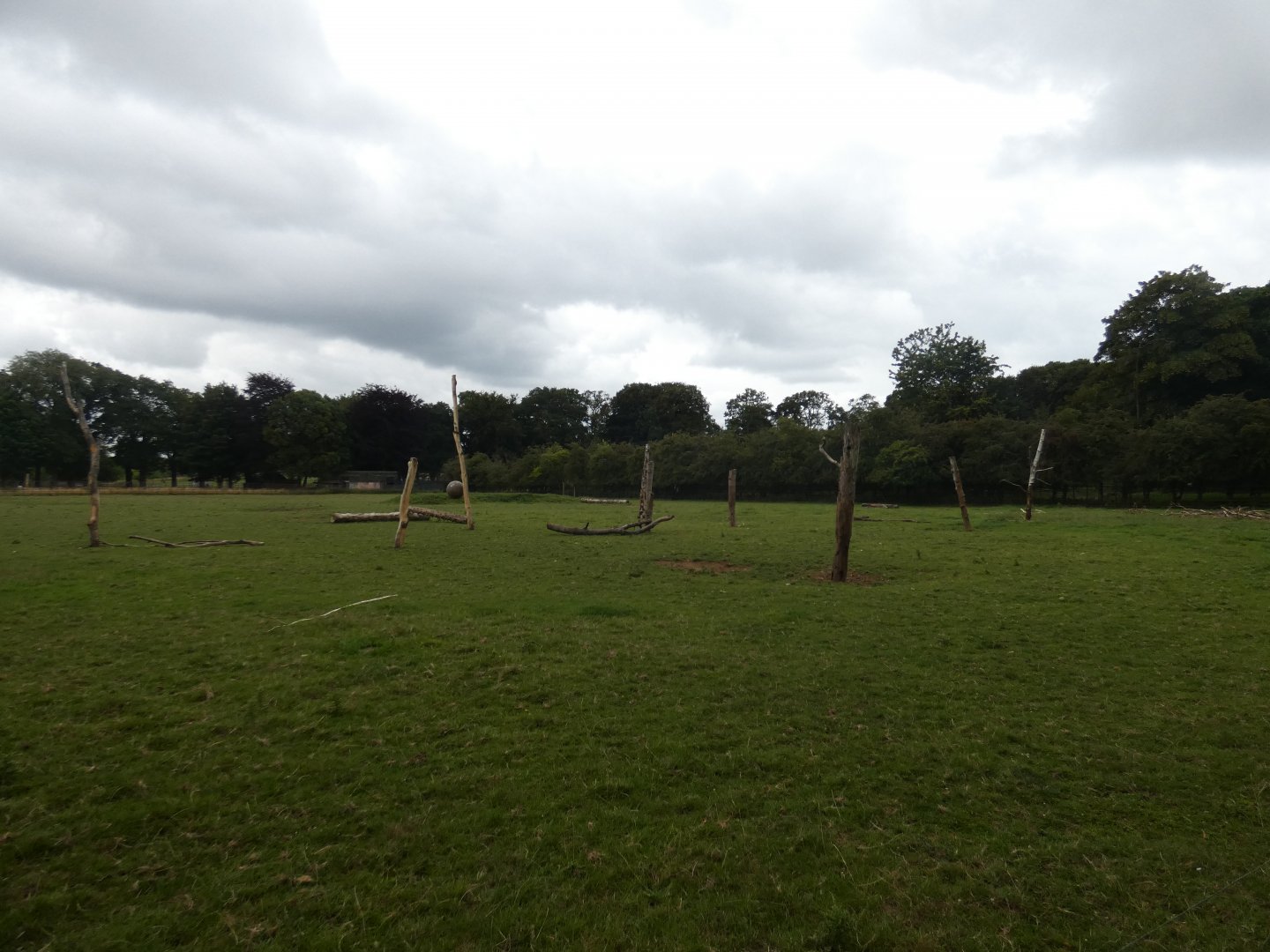 European Bison enclosure