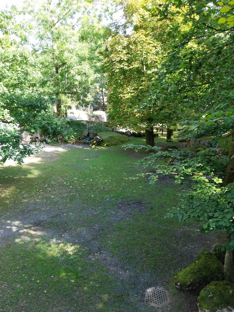 European bison enclosure