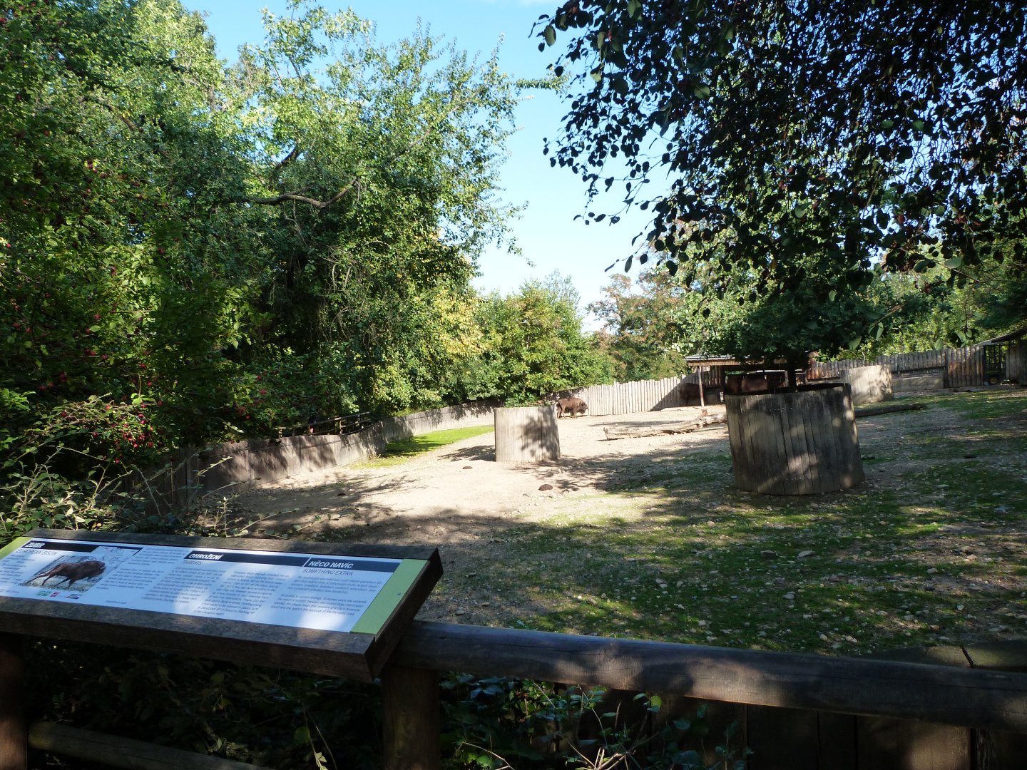 European bison exhibit -Zoo Praha (2025)