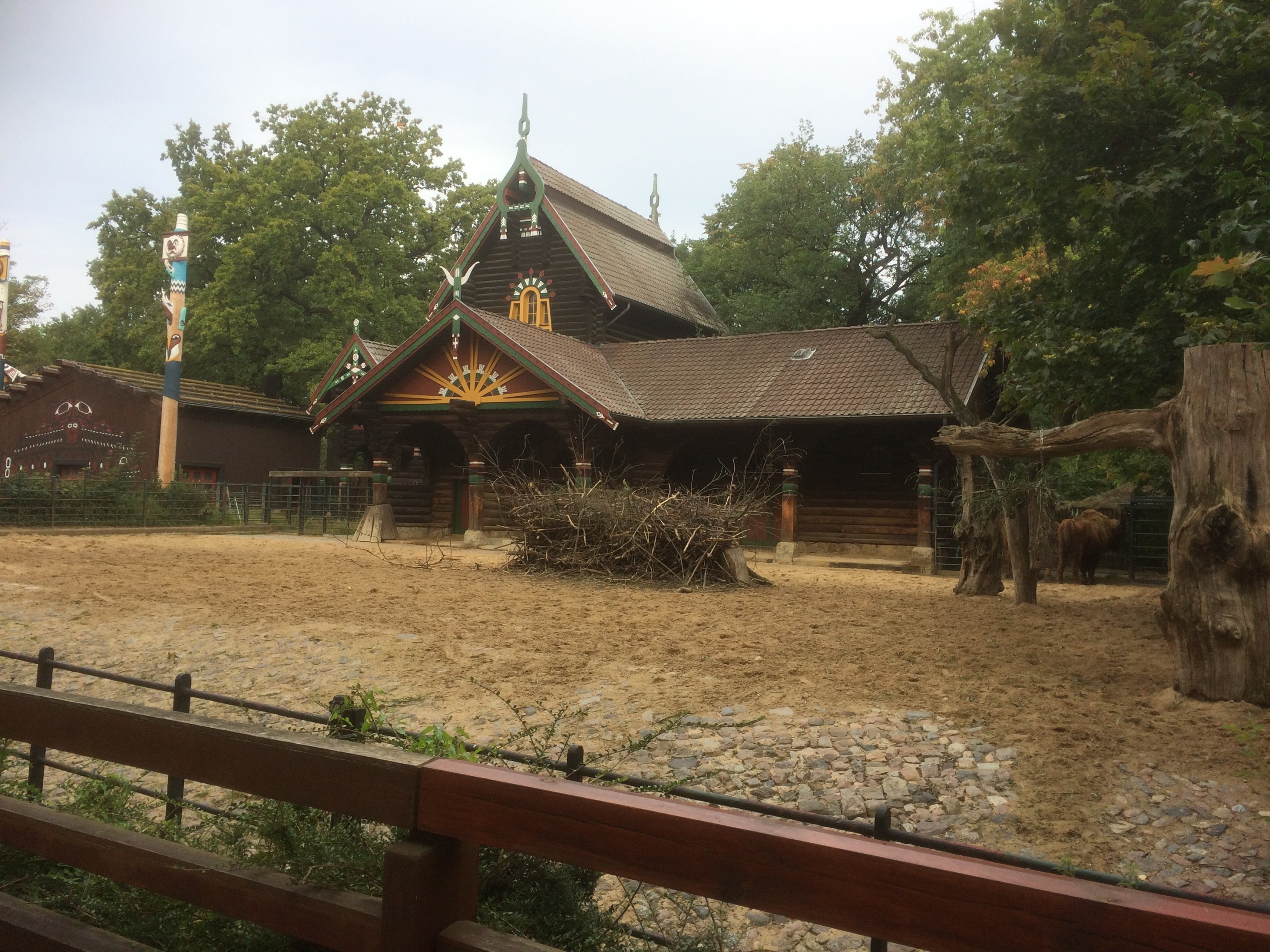 European bison house & enclosure