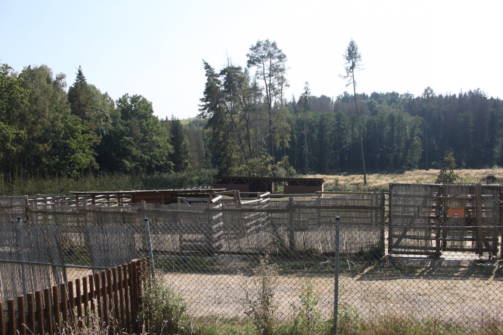 European bison off-show exhibit