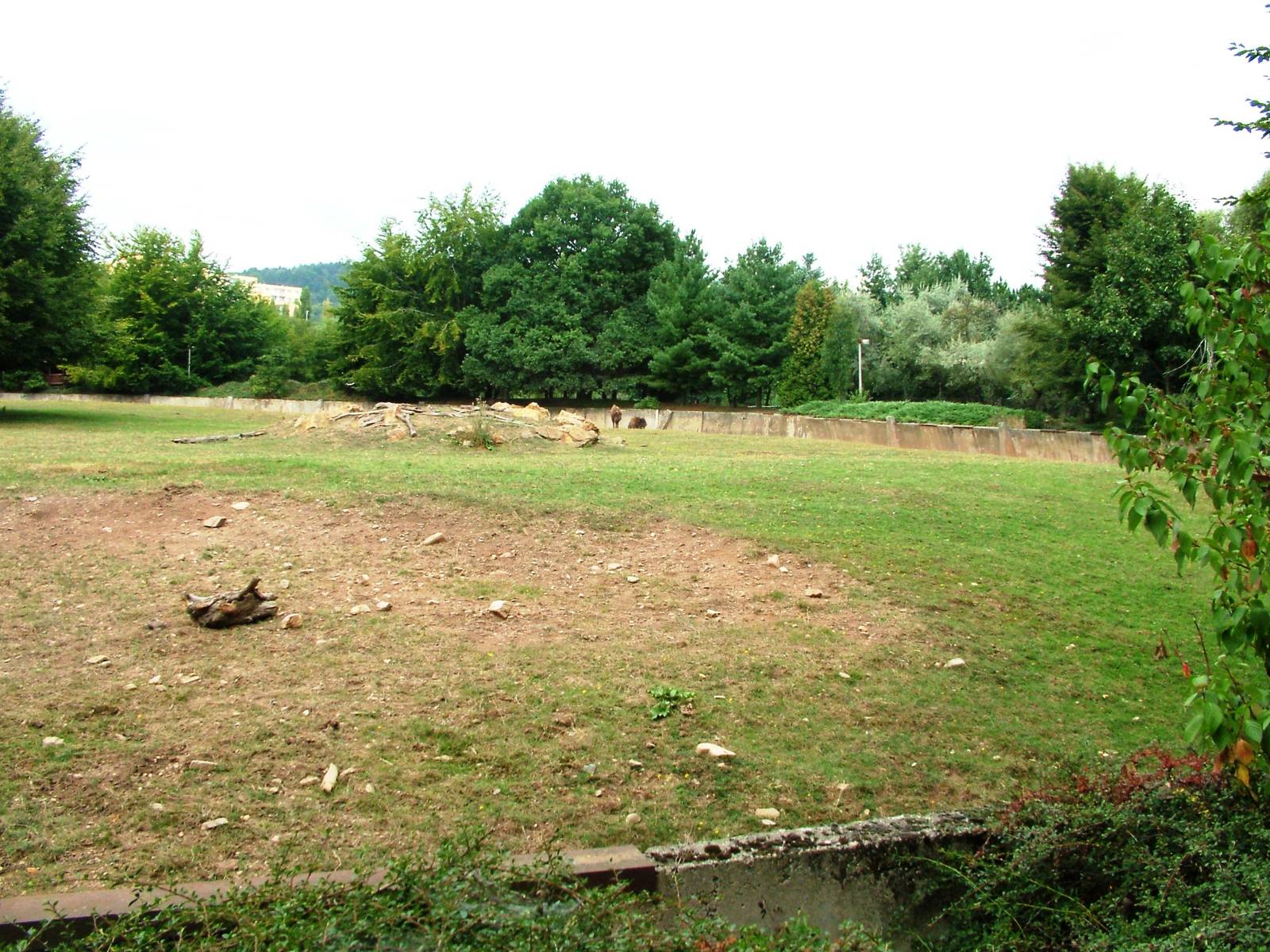 European Bison Paddock at Chomutov, 30/08/12