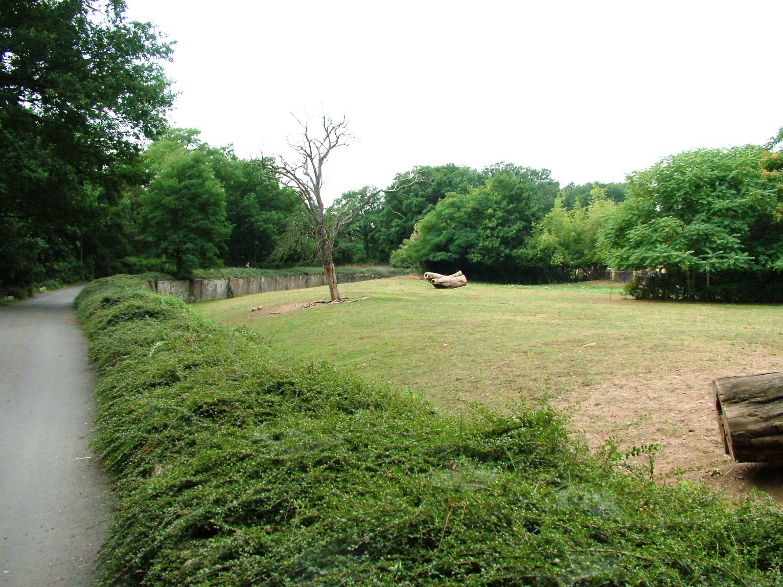 European Bison Paddock at Chomutov, 30/08/12
