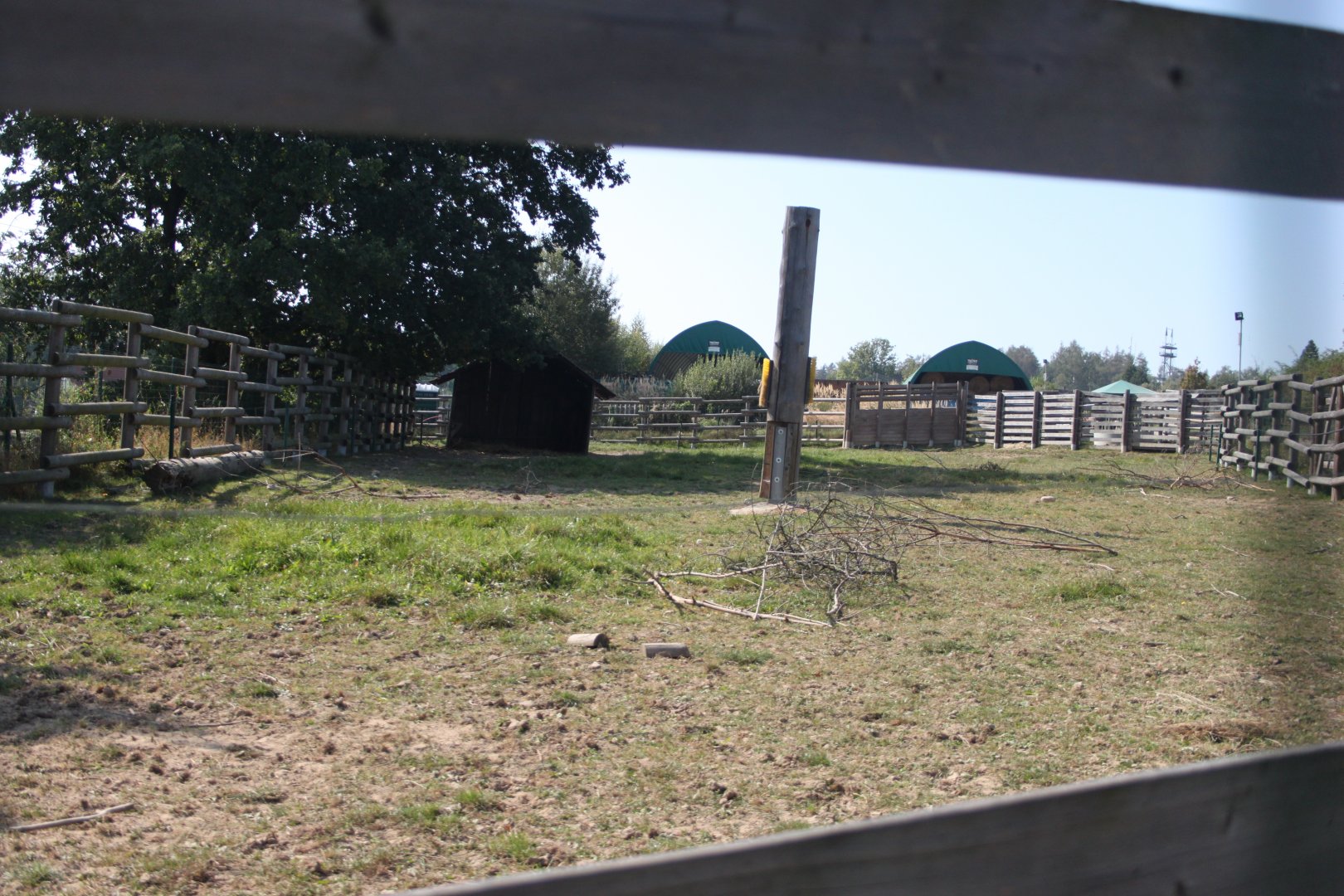 European bison separation exhibit