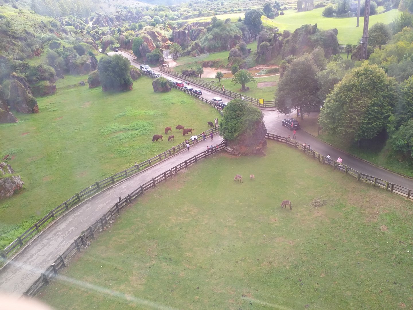 European bison, waterbuck and gemsbok exhibits-Cabarceno (2019)