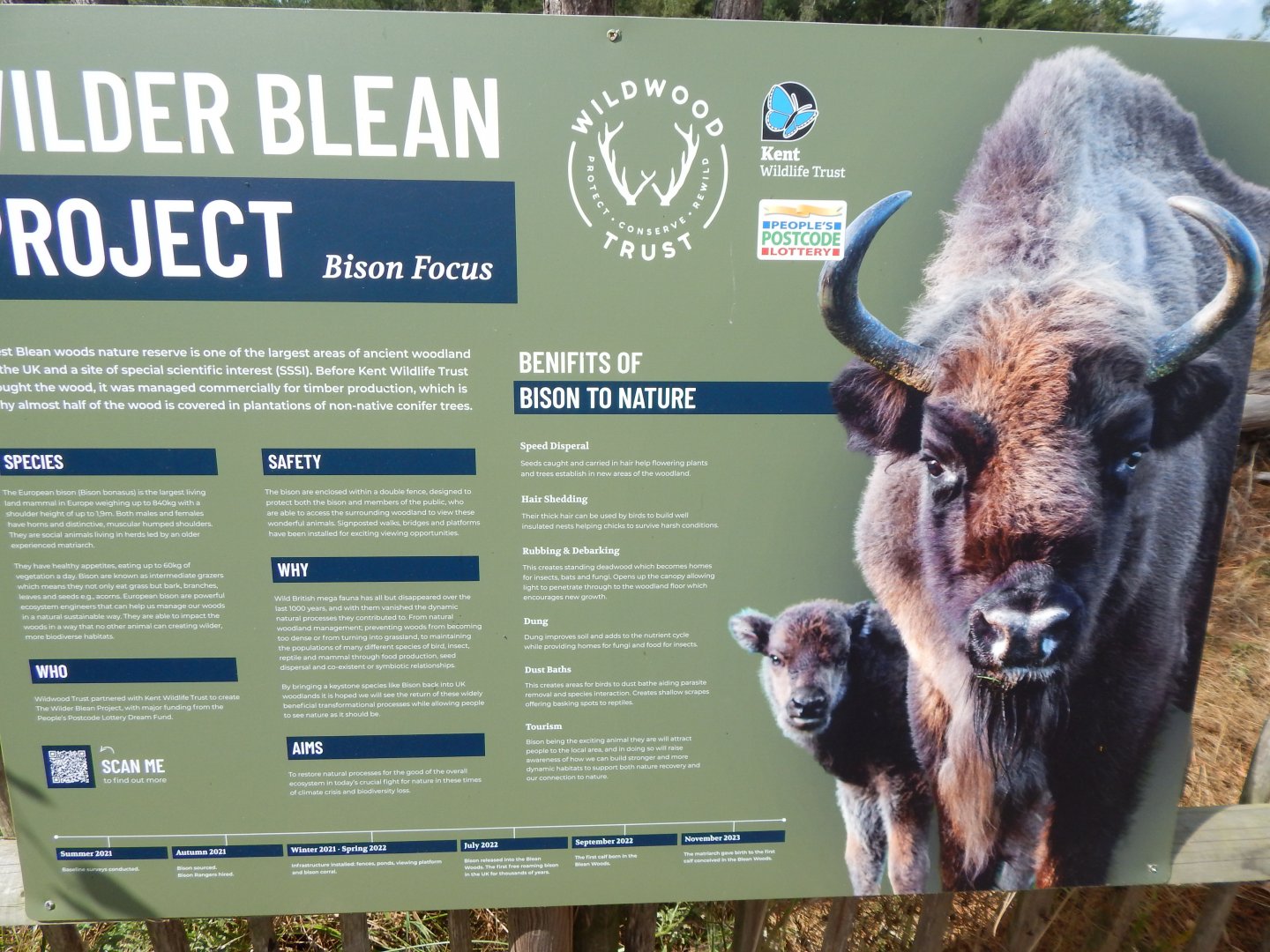 European bison - Wilder Blean Project signage 030924