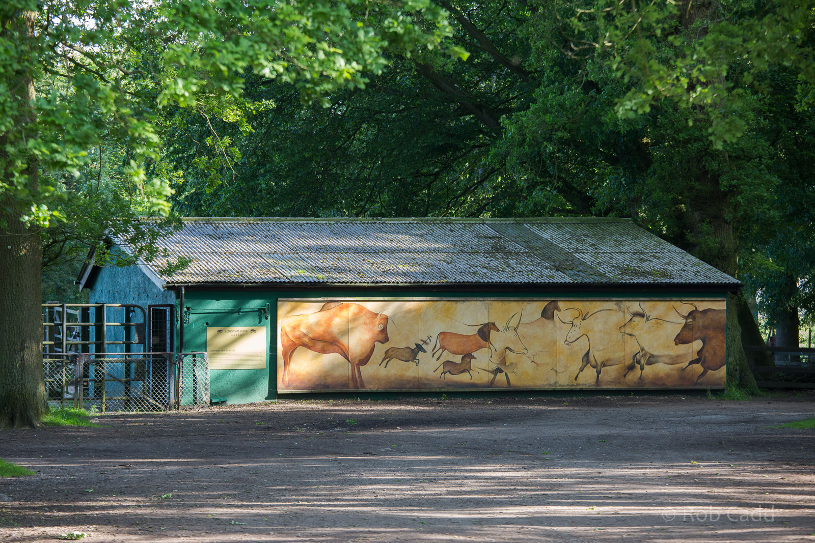 European bison / wisent housing : Whipsnade : 06 Jun 2014