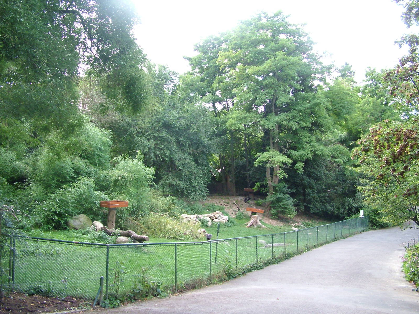 European Black Vulture enclosure at Mulhouse 29/08/09