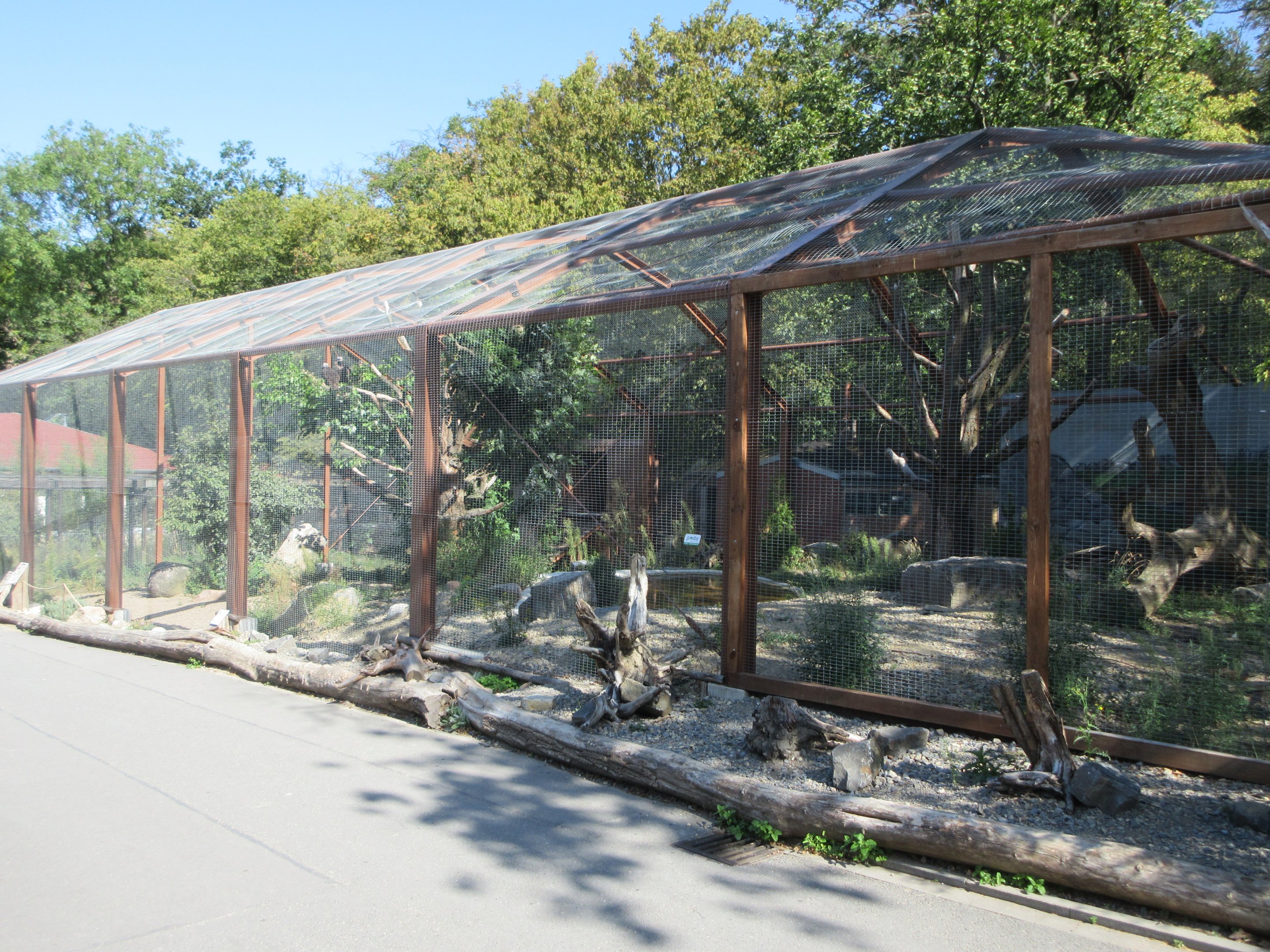 European Black Vulture/Northern Bald Ibis Exhibit