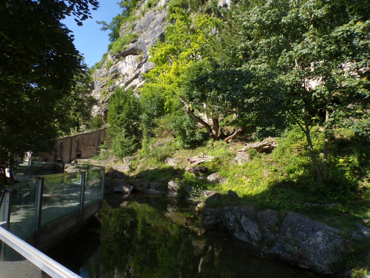 European brown bear and corsac fox enclosure 13.7.25