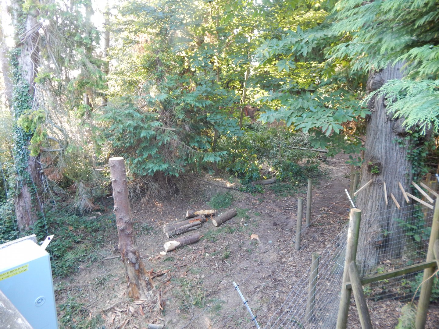European brown bear enclosure 020825