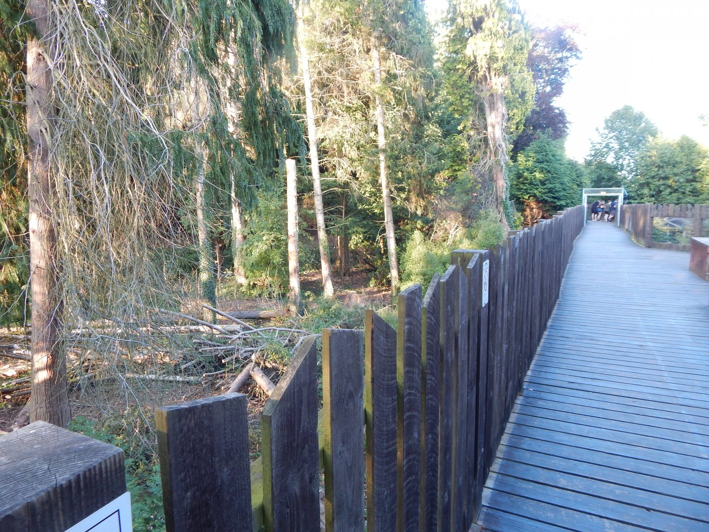 European brown bear enclosure 020825