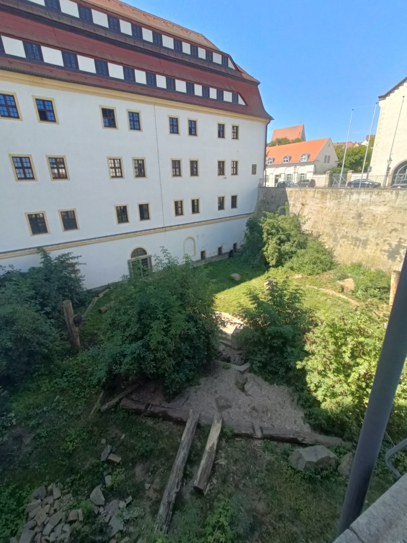 European Brown Bear Enclosure (1) - Schloss Hartenfels