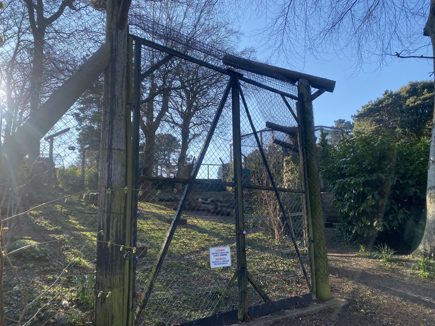 European brown bear enclosure 190325