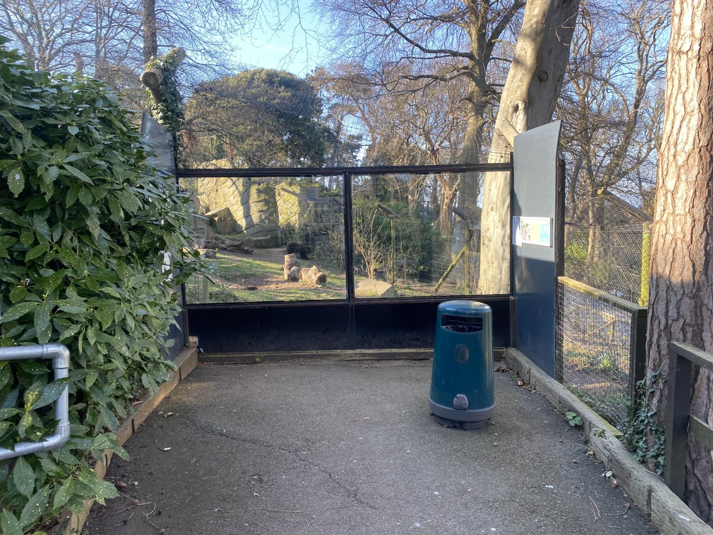 European brown bear enclosure 190325