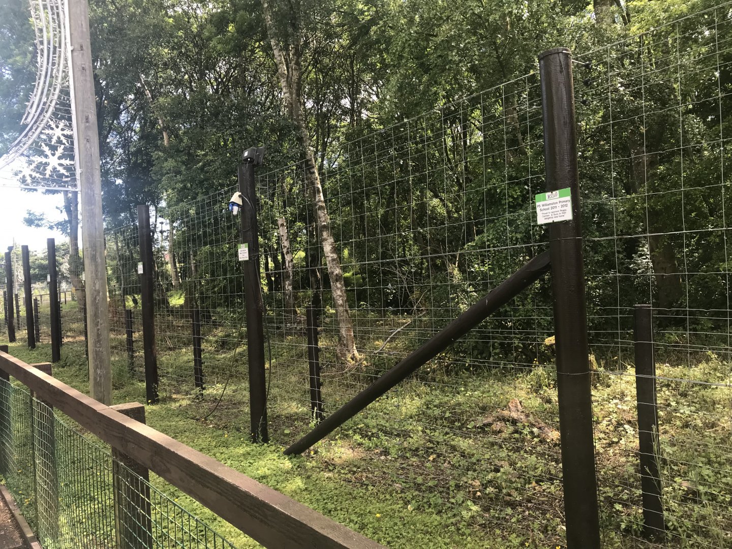European brown bear enclosure (2)