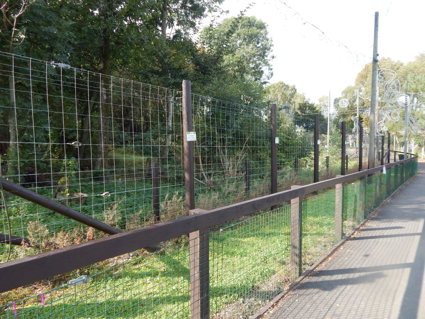 European brown bear enclosure 200922
