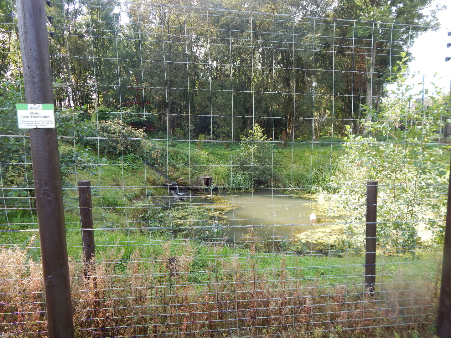 European brown bear enclosure 200922