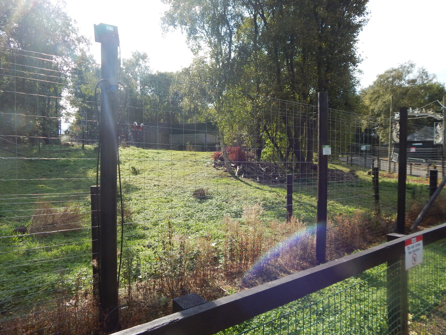 European brown bear enclosure 200922