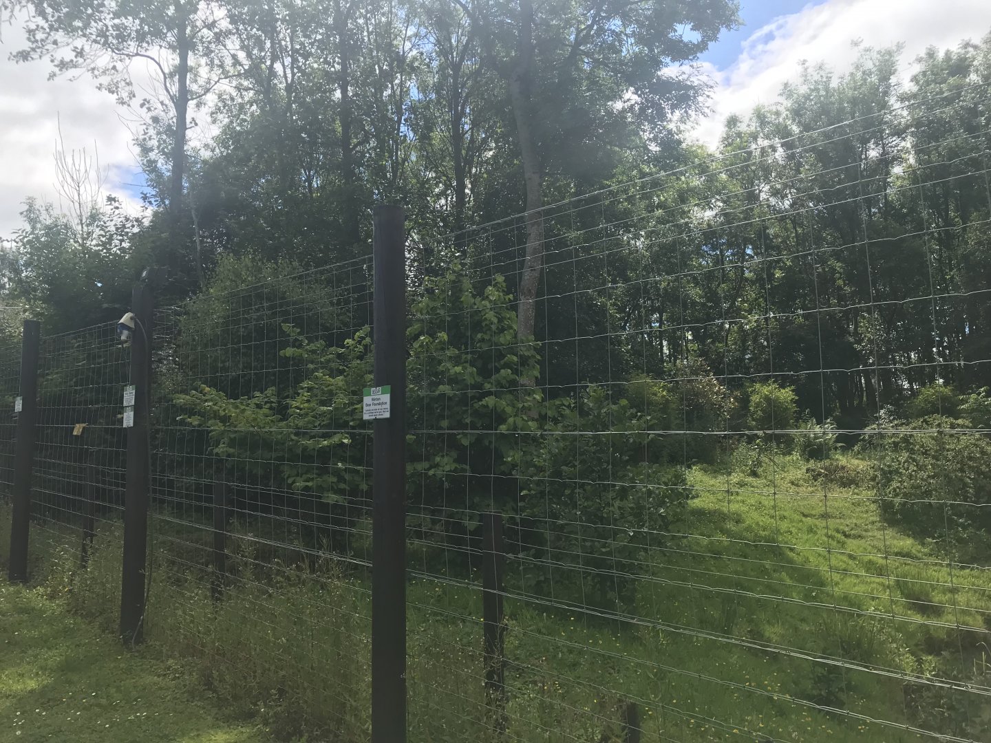 European brown bear enclosure (6)