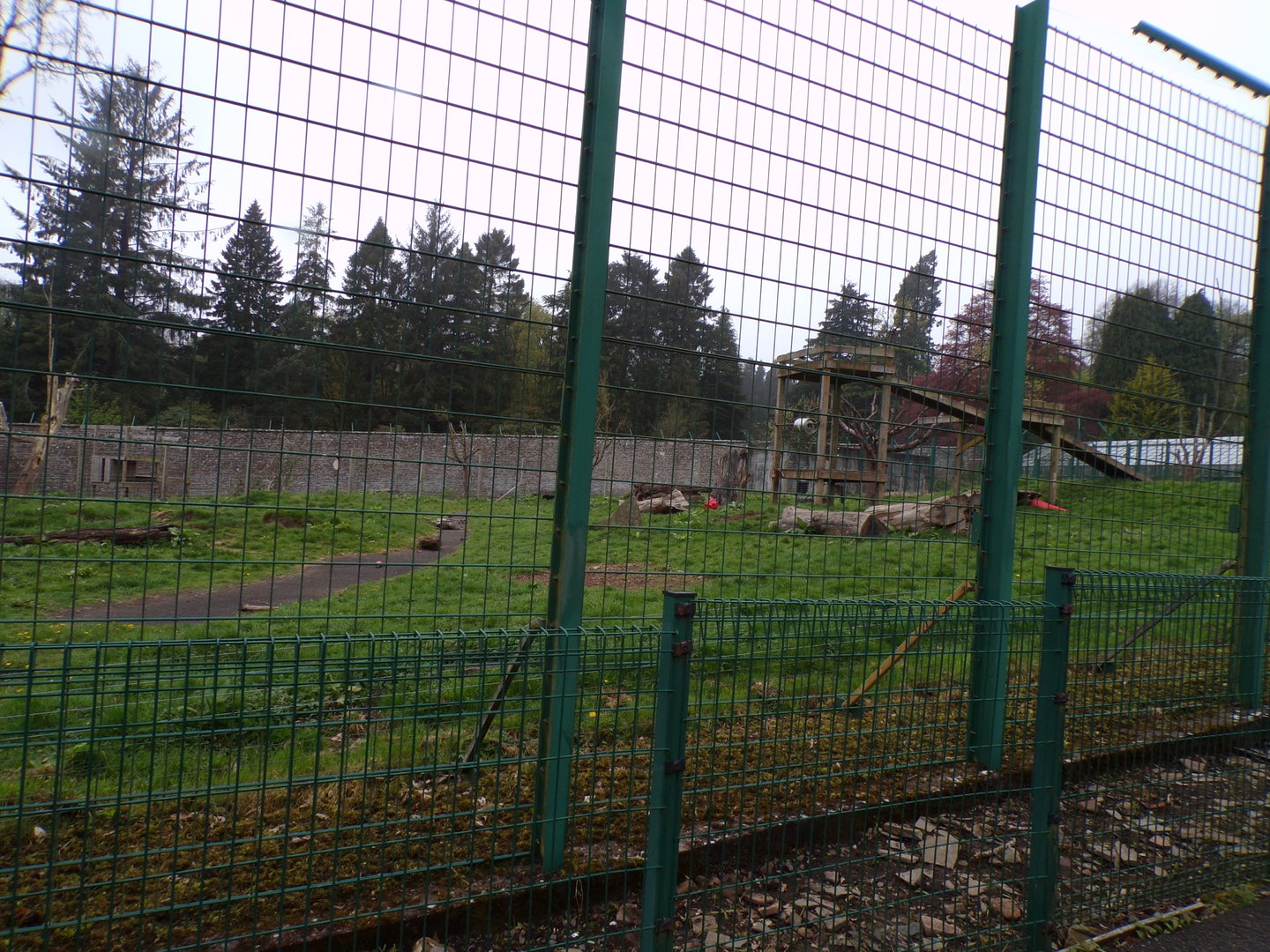 European brown bear enclosure 7.5.23