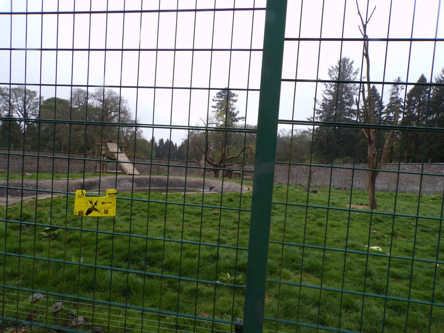 European brown bear enclosure 7.5.23