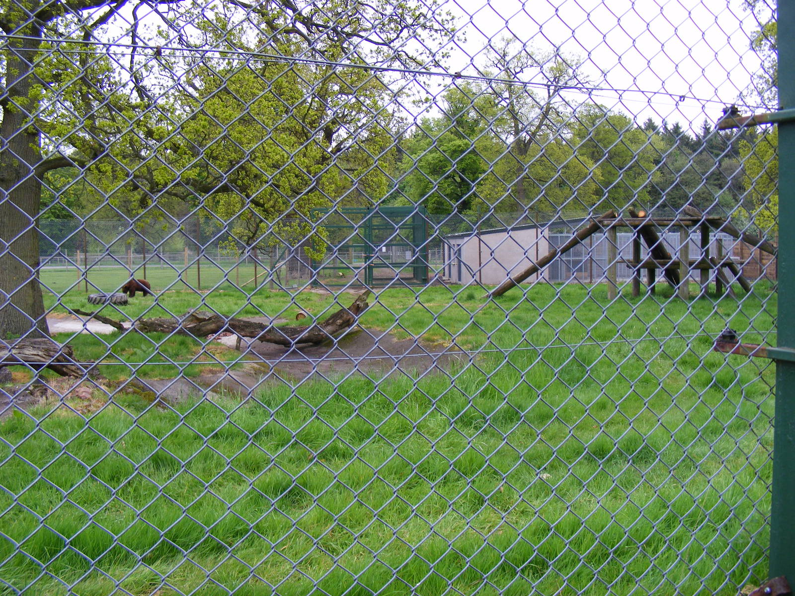 European brown bear enclosure at Blair Drummond Safari Park, 19 May 2010