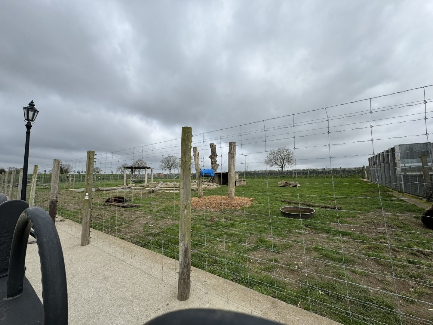 European Brown Bear Enclosure at Wolds Wildlife Park (March 2024)