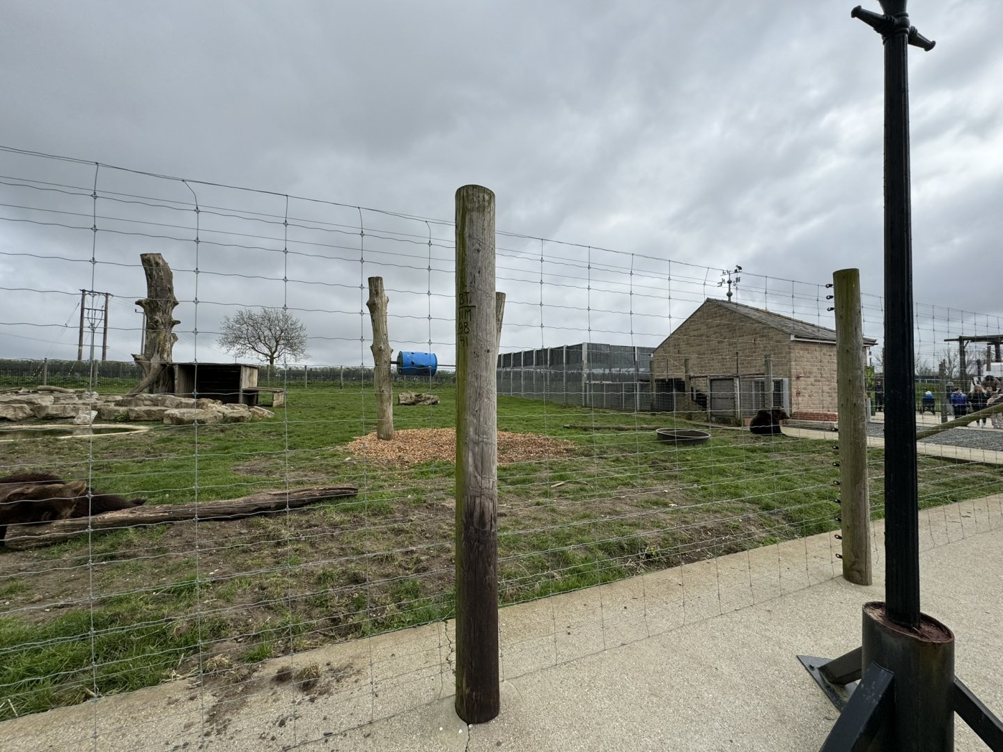 European Brown Bear Enclosure at Wolds Wildlife Park (March 2024)