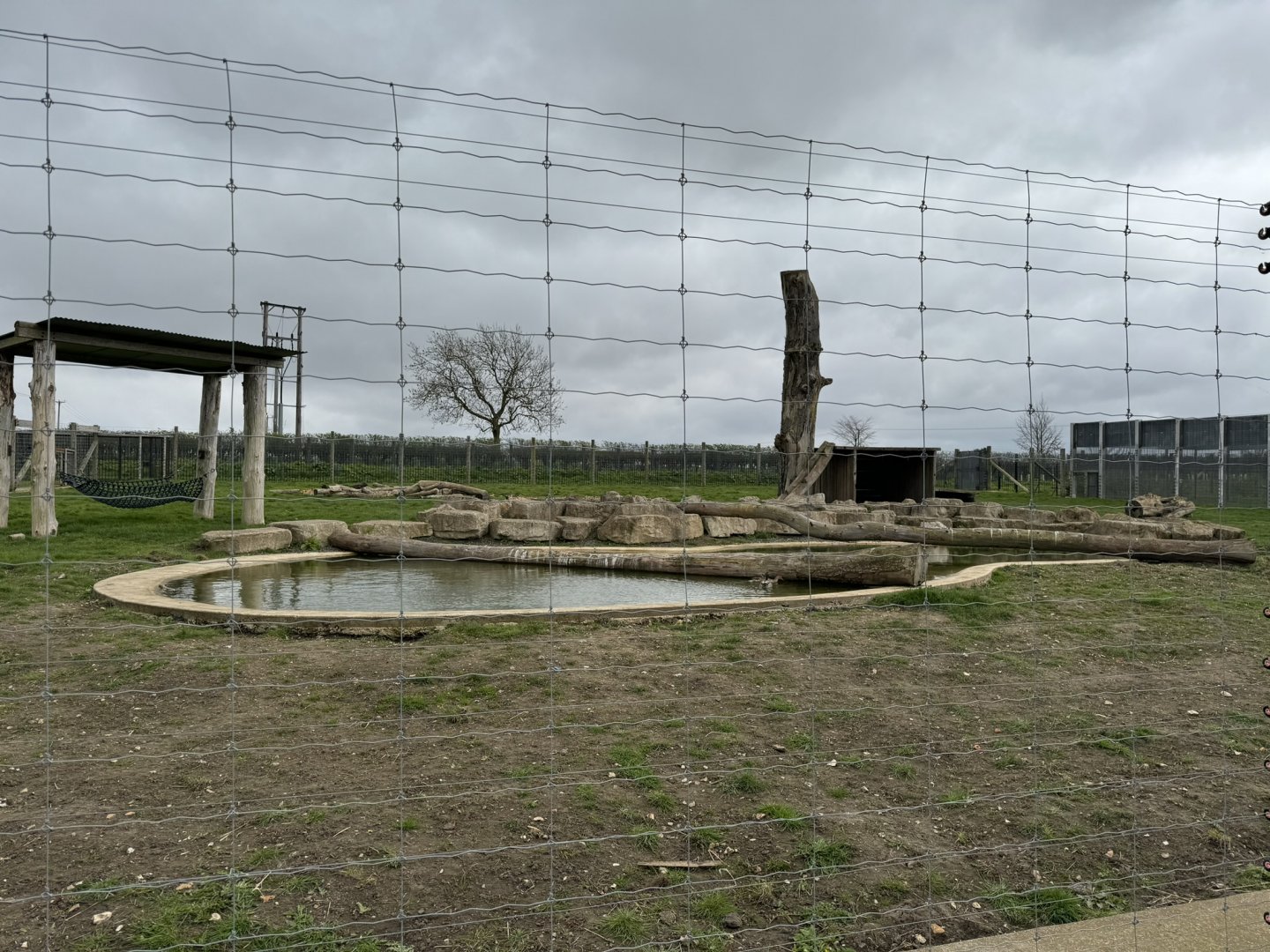 European Brown Bear Enclosure at Wolds Wildlife Park (March 2024)