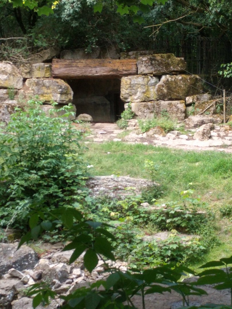 European Brown Bear Enclosure Cave
