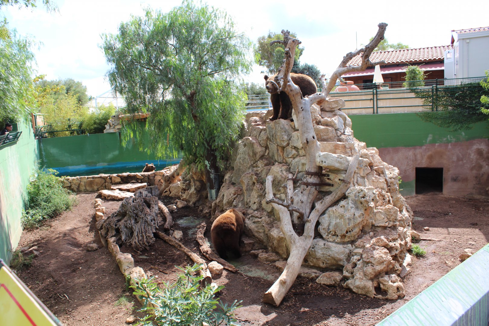 European Brown Bear Enclosure - Oct 2019