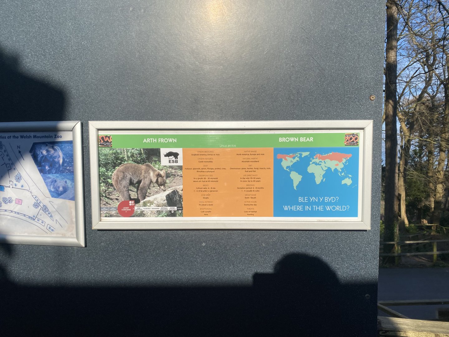 European brown bear enclosure signage 190325