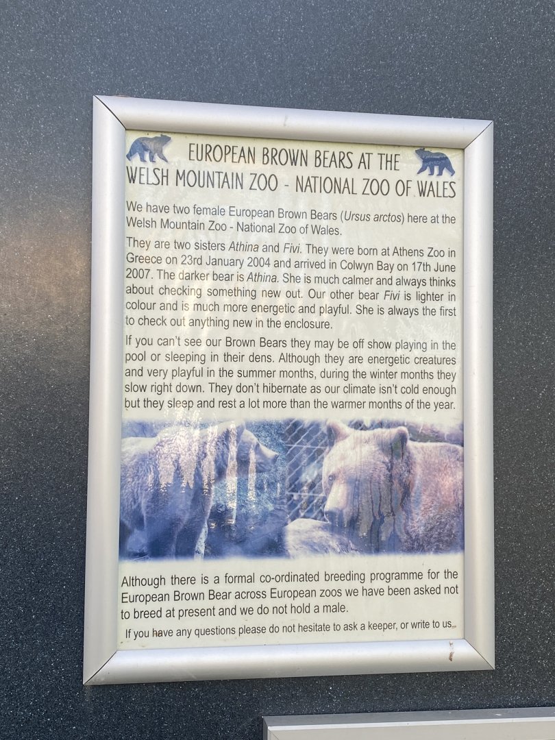 European brown bear enclosure signage 190325