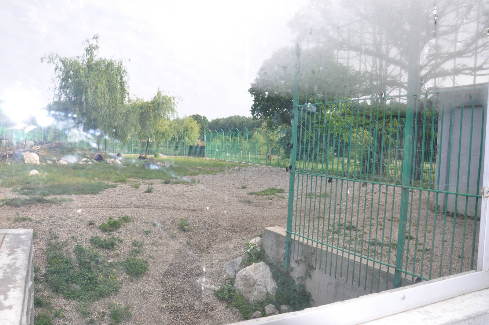 European brown bear enclosure