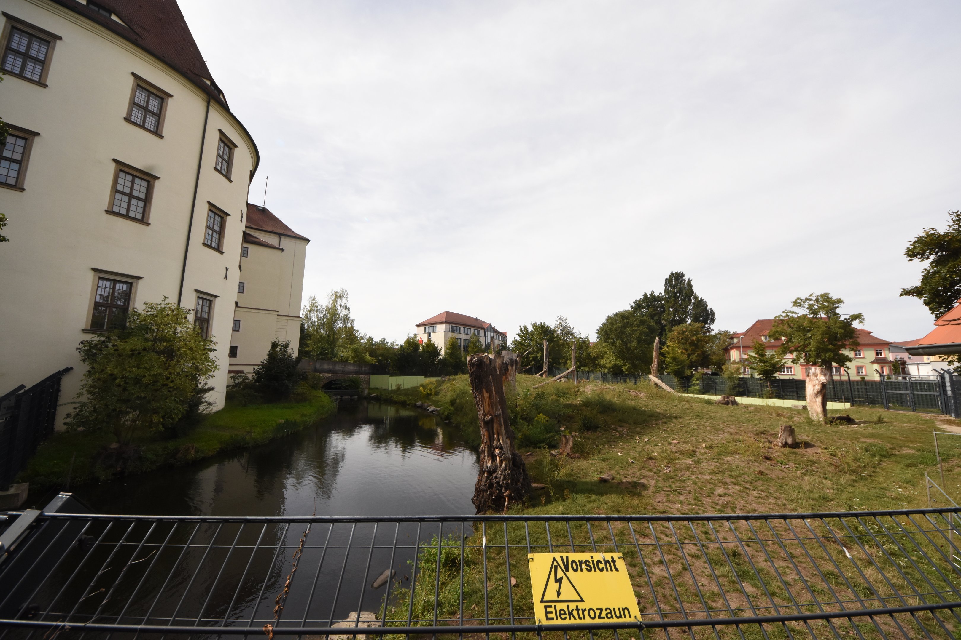 European brown bear enclosure