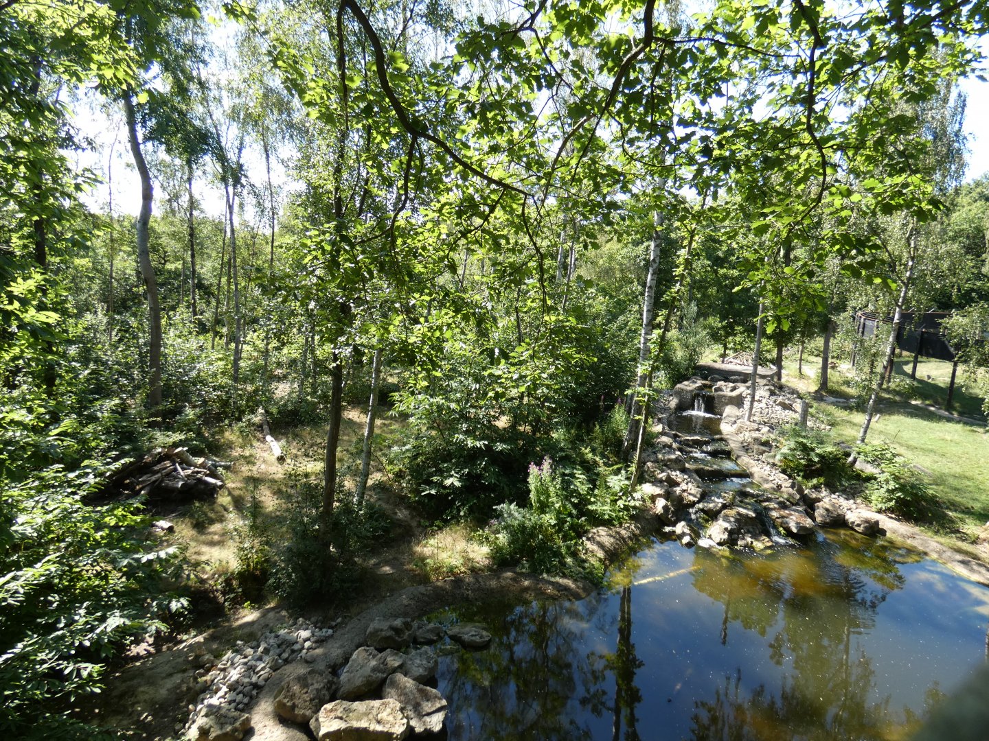 European Brown Bear enclosure