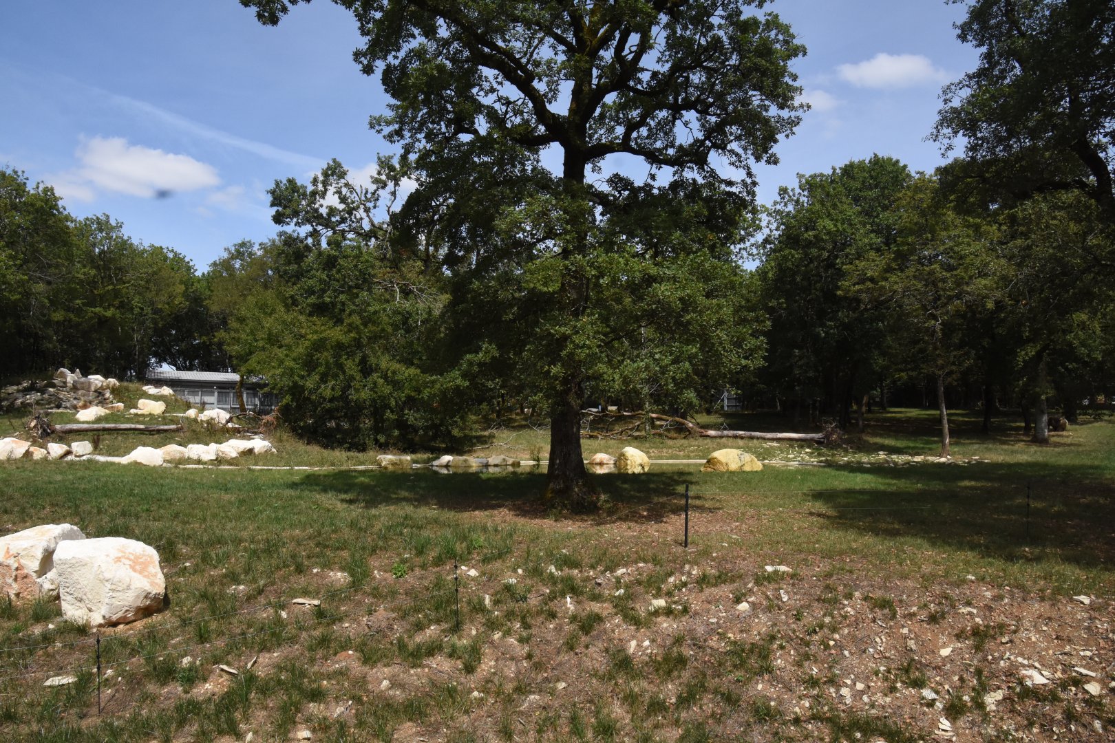 European Brown Bear enclosure